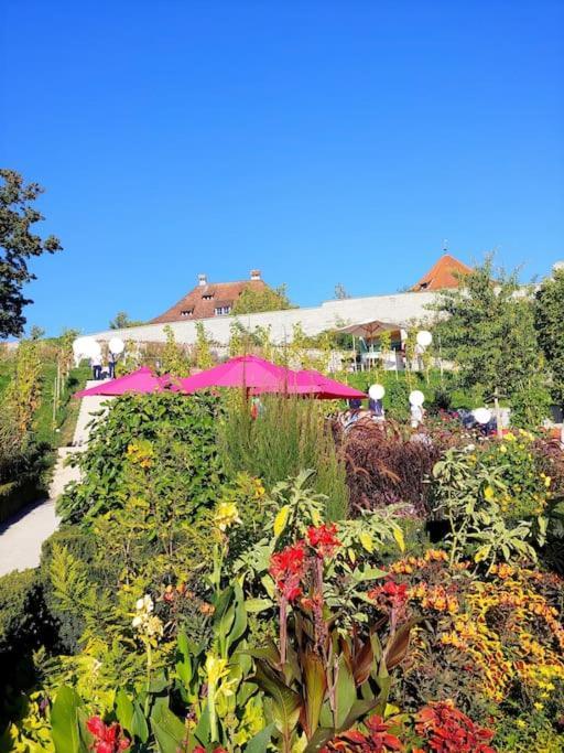 Rodtsches Palais 8 Meersburg